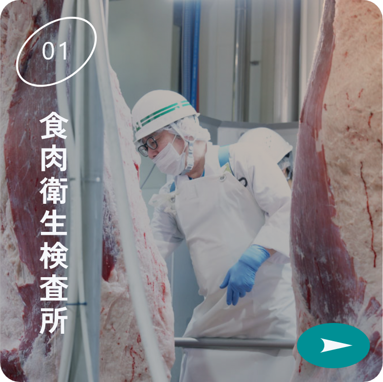 食肉衛生検査所