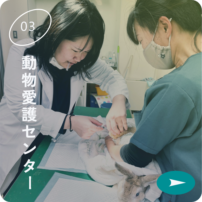 動物愛護センター