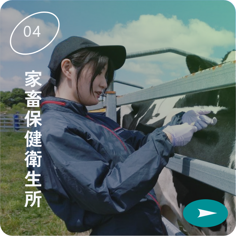 家畜保健衛生所