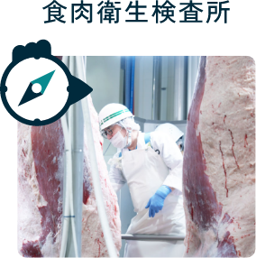 食肉衛生検査所