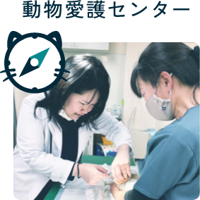 動物愛護センター